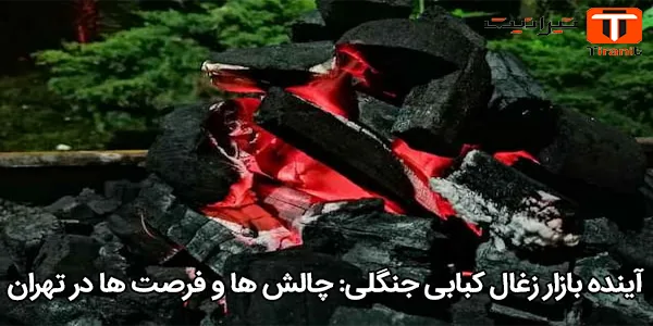 آینده بازار زغال کبابی جنگلی: چالش‌ ها و فرصت‌ ها در تهران