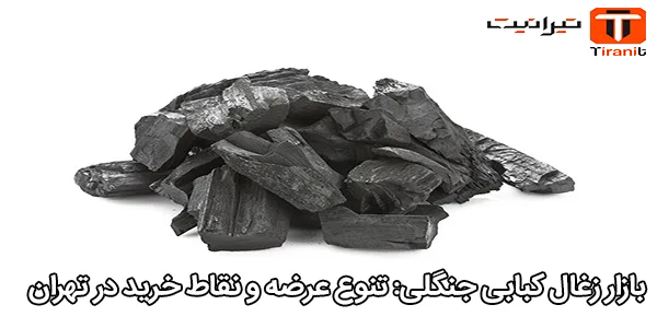 بازار زغال کبابی جنگلی: تنوع عرضه و نقاط خرید در تهران