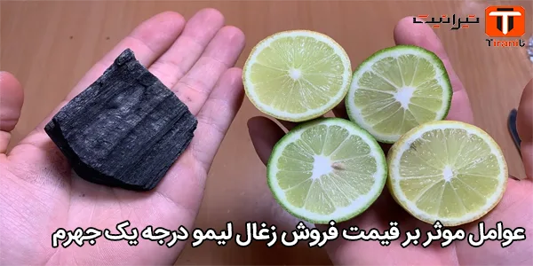 عوامل موثر بر قیمت فروش زغال لیمو درجه یک جهرم