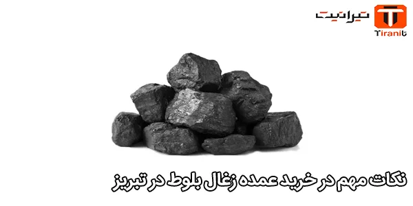 نکات مهم در خرید عمده زغال بلوط در تبریز