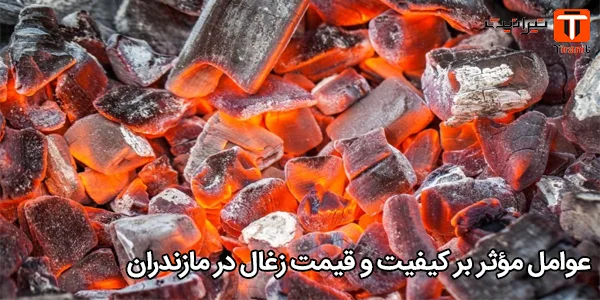 عوامل مؤثر بر کیفیت و قیمت زغال در مازندران