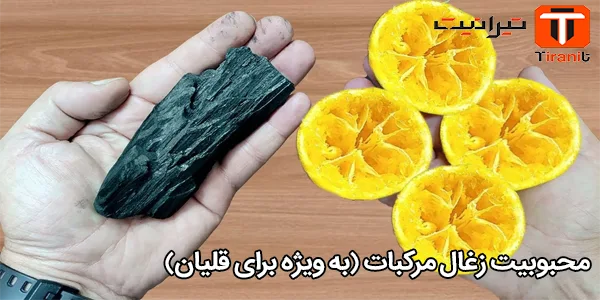 محبوبیت زغال مرکبات (به ویژه برای قلیان) محبوبیت زغال مرکبات (به ویژه برای قلیان)