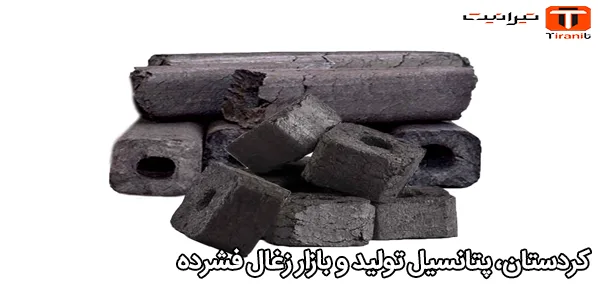 کردستان، پتانسیل تولید و بازار زغال فشرده