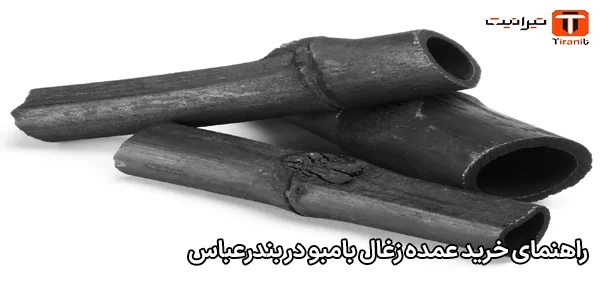 راهنمای خرید عمده زغال بامبو در بندرعباس