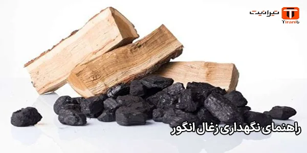 راهنمای نگهداری زغال انگور