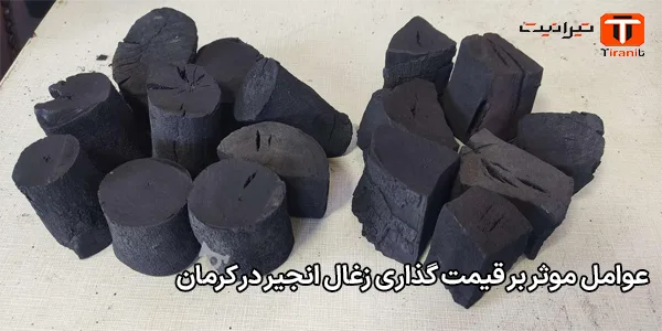 عوامل موثر بر قیمت‌ گذاری زغال انجیر در کرمان