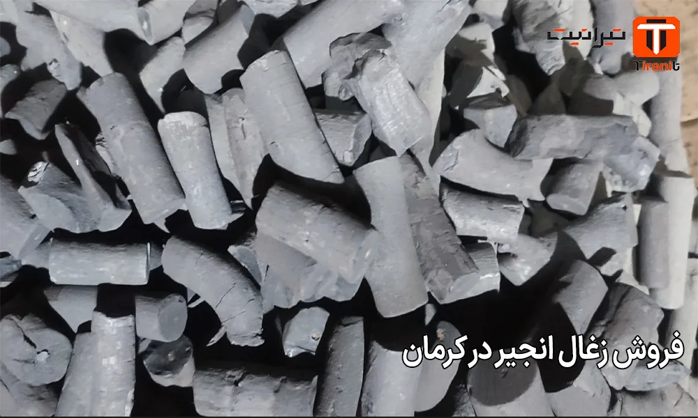 فروش زغال انجیر در کرمان
