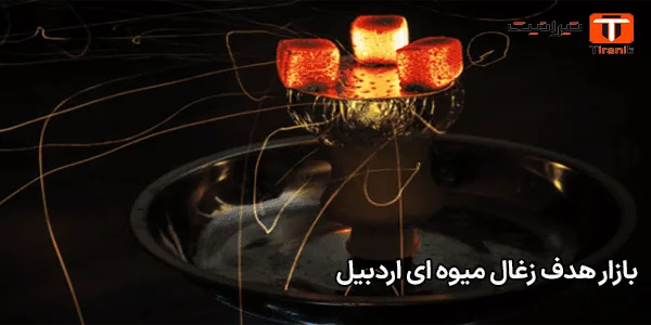 بازار هدف زغال میوه‌ ای اردبیل