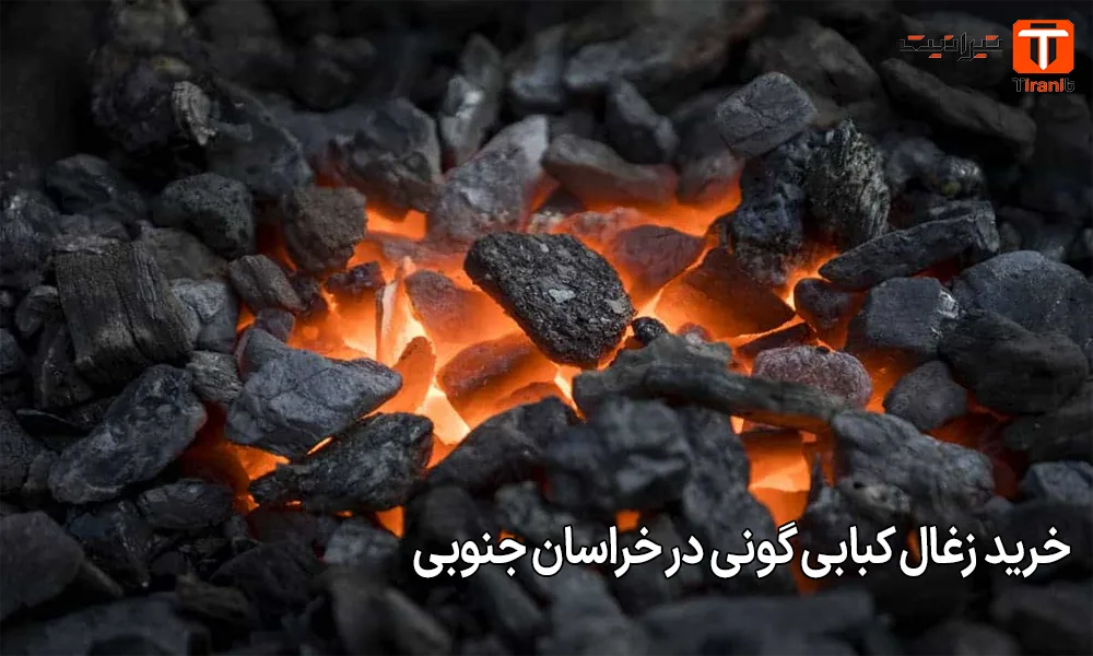 خرید زغال کبابی گونی در خراسان جنوبی