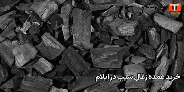 خرید عمده زغال سیب در ایلام