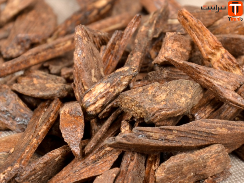 زغال طاق چیست؟