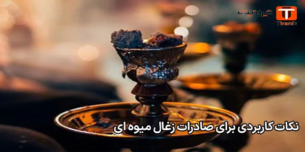 نکات کاربردی برای صادرات زغال میوه‌ ای