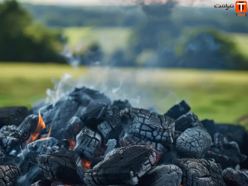 3 روش خاموش کردن زغال در طبیعت